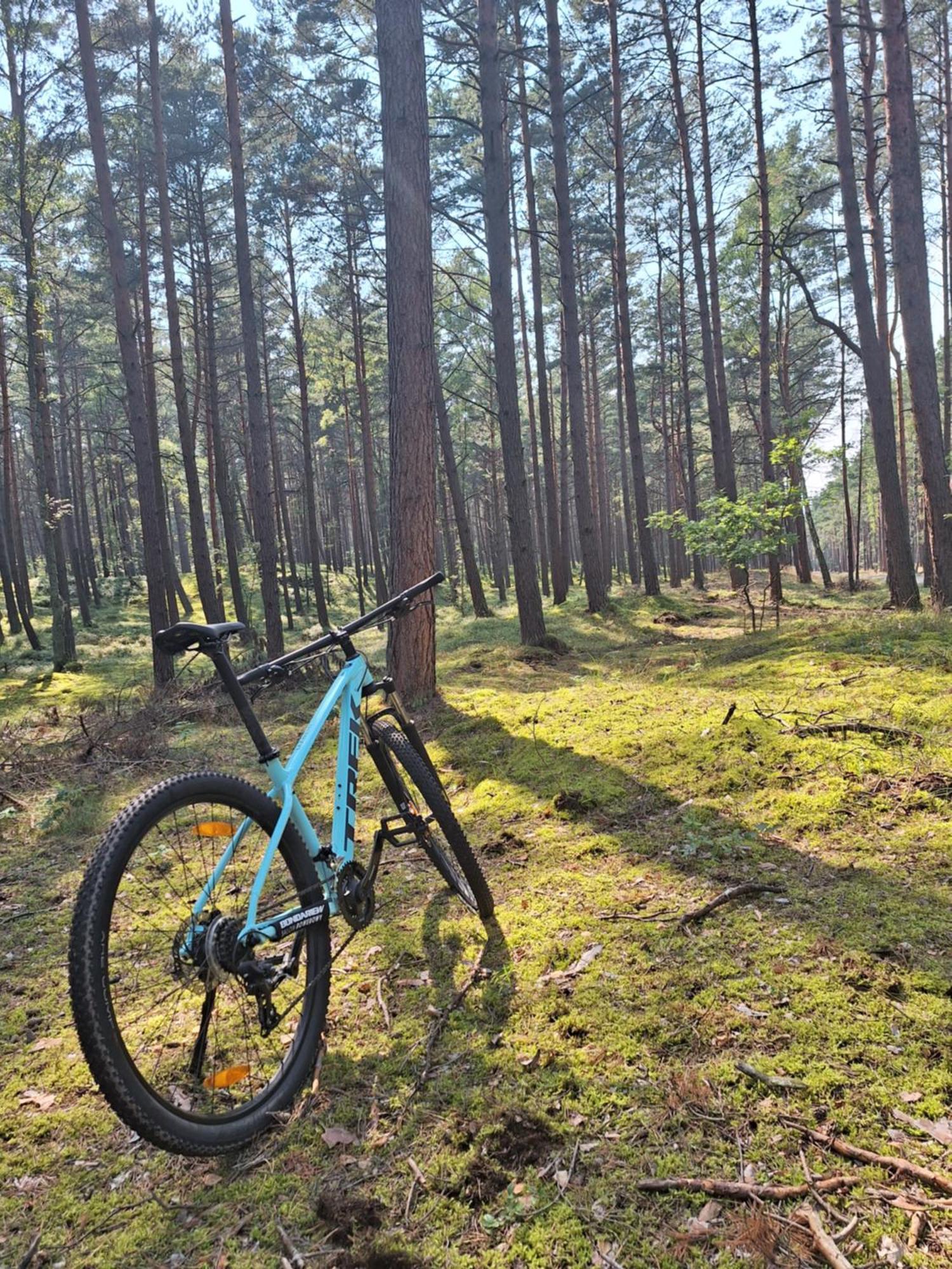 Pod Grabami Privatunterkunft Danzig